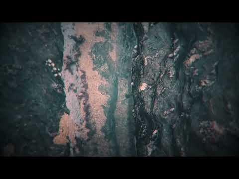 Birrd - Alter Echo - LP