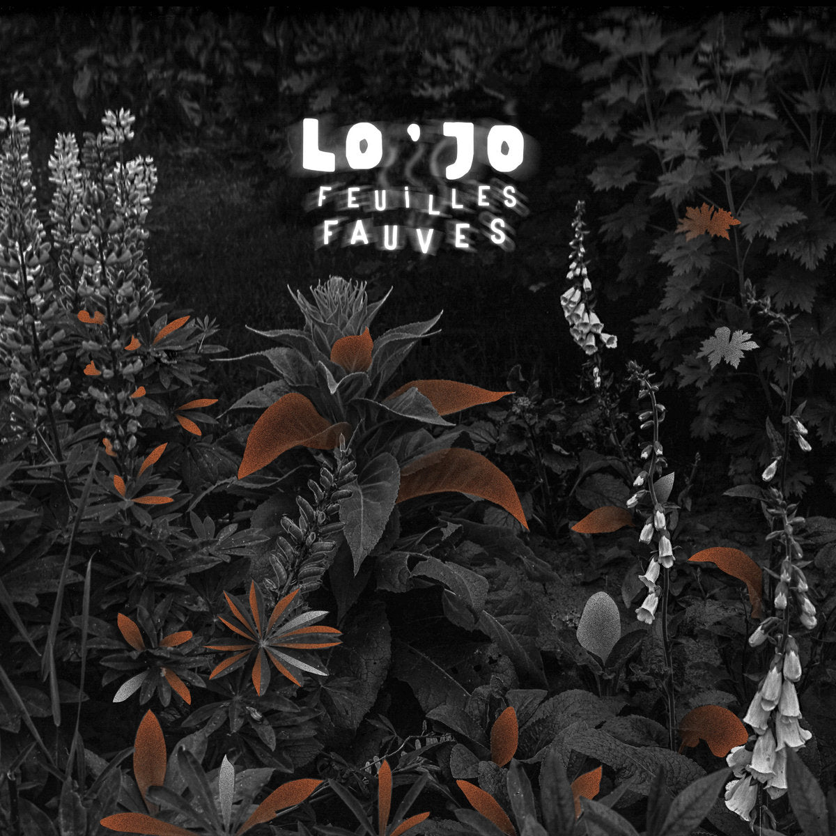 LO'JO - Feuilles Fauves - CD